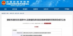 德陽市消防支隊數(shù)據(jù)機(jī)房設(shè)備采購項目成交公告